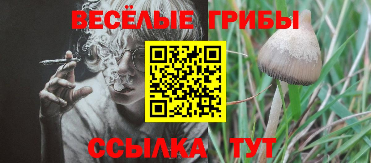 Мариинск  Галлюциногенные грибы мухоморы  Вход с VPN 